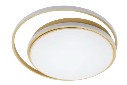 Светильник потолочный с пультом LED LAMPS 81315 Natali Kovaltseva белый на 1 лампу, основание золотое в стиле хай-тек современный с пультом кольца фото 6